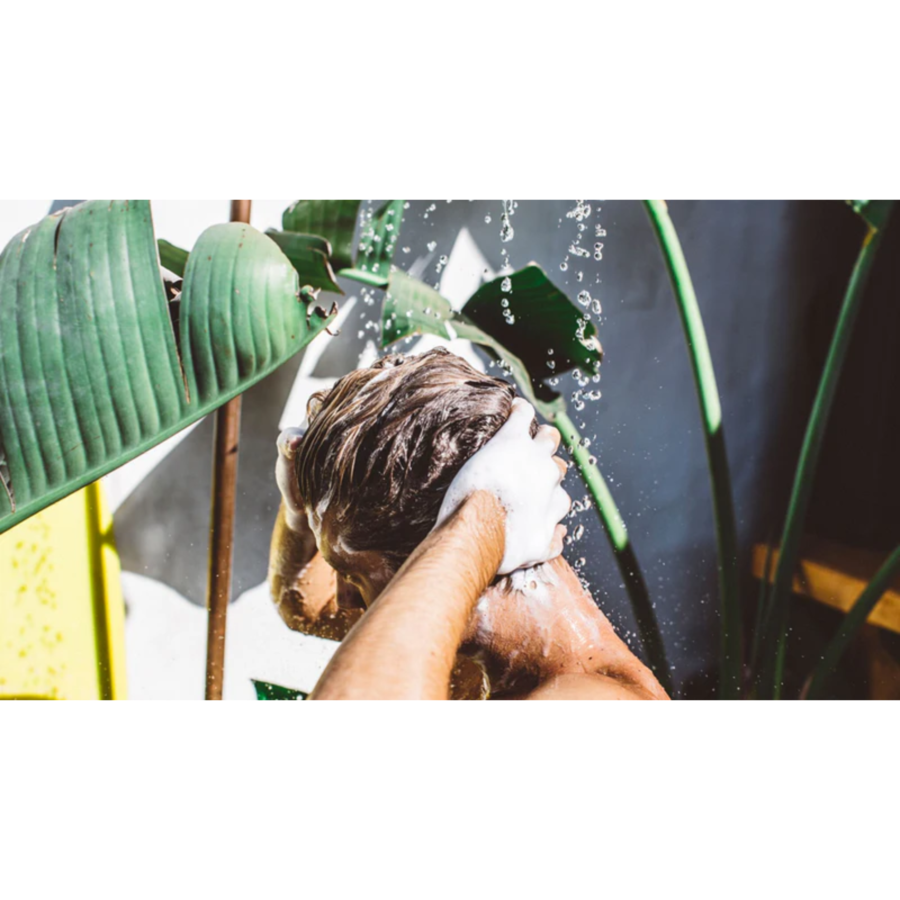 Shampoo Purificante, BYRD, 473 ml.